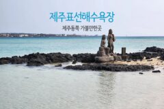 제주동쪽 가볼만한곳 제주표선해수욕장 + 유채꽃밭