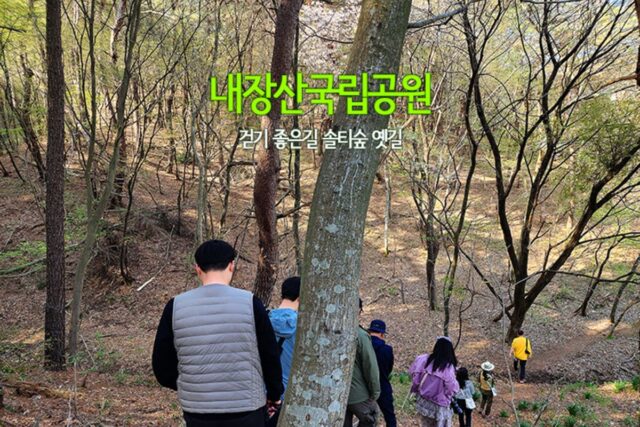내장산국립공원 걷기 좋은 길 솔티숲 옛길