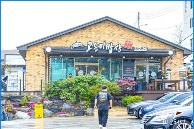 세종시 장군면 고등어밥상, 생선구이 맛집!