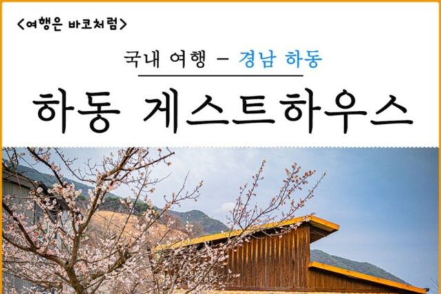 경남 하동 게스트 하우스 고양이생존연구소, 자연 속 북카페 감성 숙소!