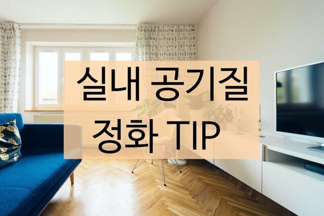 미세먼지 주의! 실내 공기질 개선 위한 방법