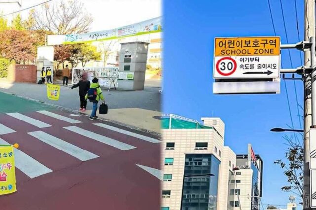 “기본이었으면 더 좋았을 텐데” 스쿨존 음주사고 최대 형량 껑충