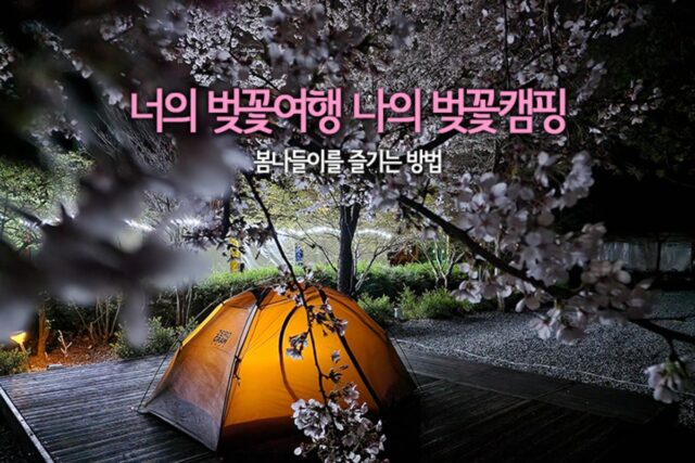 너의 벚꽃여행 나의 벚꽃캠핑 봄나들이를 즐기는 방법