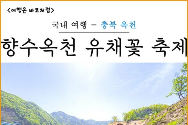옥천 친수공원에서 향수옥천 유채꽃 축제, 대전 근교 꽃구경