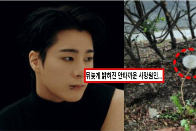 “믿기지 않아”…문빈, 사망 전 올렸던 사진의 의미…모두 눈물흘렸다