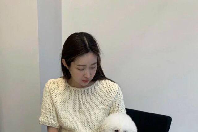 차정원 낫띵에브리씽 르셉템버 니트 깔끔 모던 미니멀룩