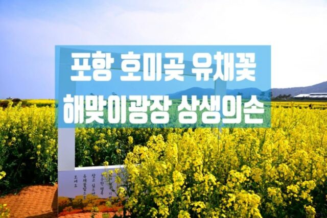 포항 핫플 봄꽃 명소 호미곶 유채꽃 해맞이광장 상생의 손 여행자 센터 새천년기념관