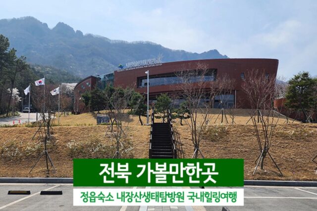전북 가볼만한곳 정읍숙소 내장산생태탐방원 국내힐링여행