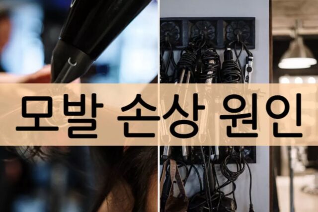 머리카락, 도대체 왜 손상될까?(+손상 예방법)