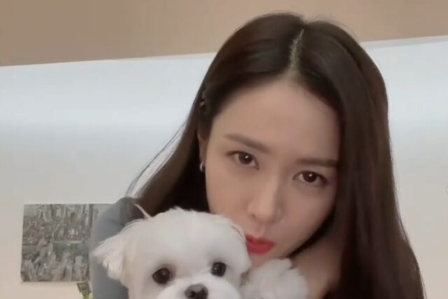 손예진이 엄마가 되고 아들을 위해 매일 아침 하는 것은?