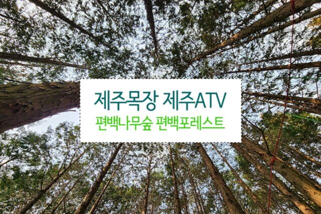 제주목장 제주ATV 편백나무숲 편백포레스트 제주 아이와 가볼만한곳