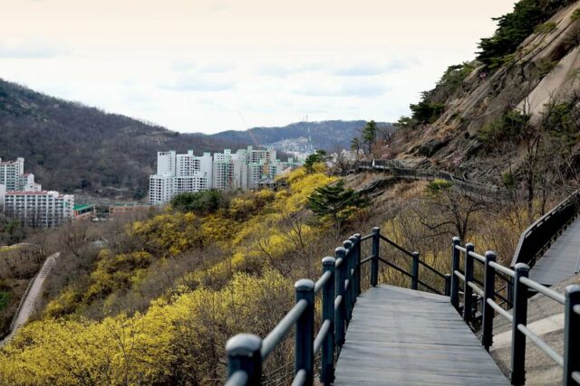 서울 주말가볼만한곳 인왕산자락길 둘레길 등산코스