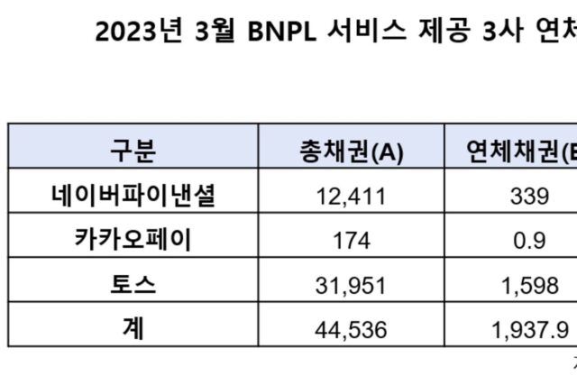 “20억원 육박”…네·카·토 BNPL 대출 연체 급증