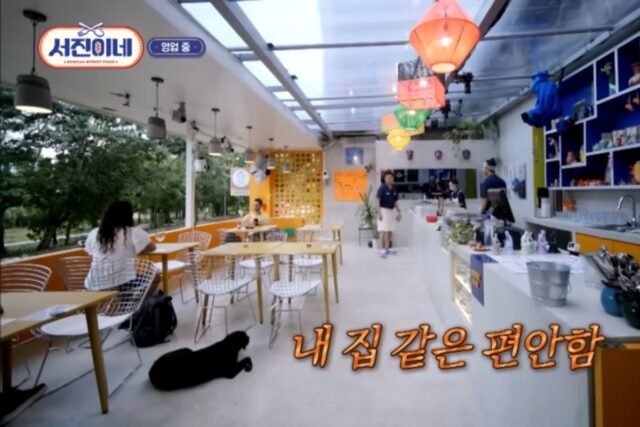 서진이네 뷔 빼로 치료 입양 미담의 진실
