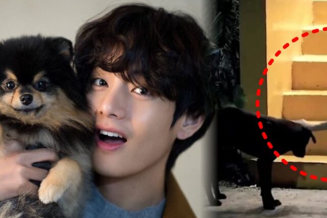 “BTS 뷔 미담 사실과 달라”…’서진이네’ 관계자 폭로로 밝혀진 충격적인 실체