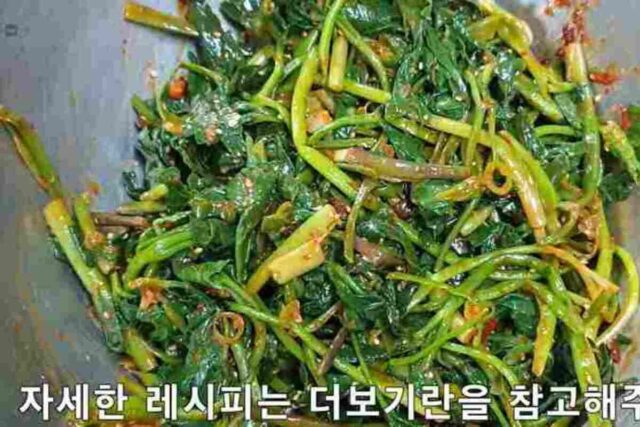 방풍나물 무침 만드는 법 :: 너무 맛있는데?