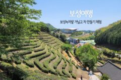 보성여행 보성녹차밭 거닐고 차 만들기 체험 국내여행 추천