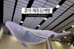 혼자 제주도 여행 느긋하게 제주공항 면세점 둘러보기