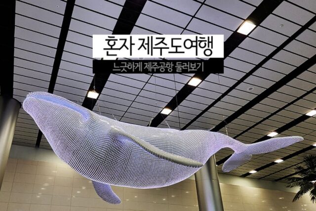 혼자 제주도 여행 느긋하게 제주공항 면세점 둘러보기