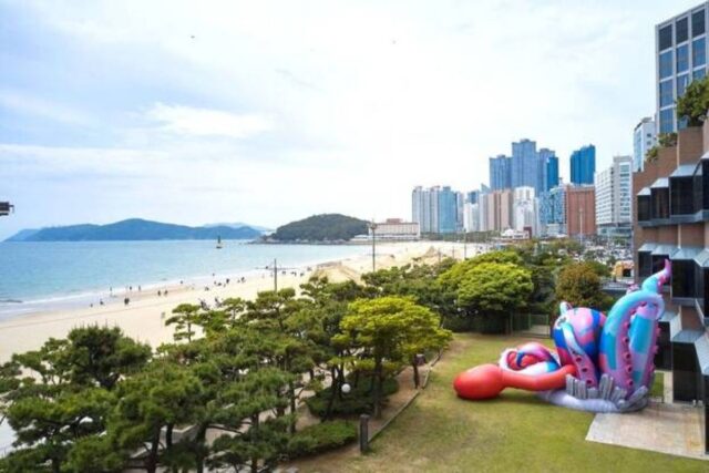 대형 ‘문어 랍스터’, 파라다이스 부산에 상륙