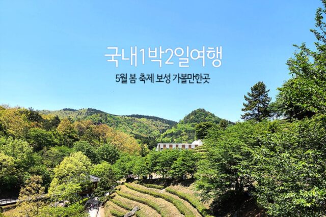 국내1박2일여행 5월봄축제 보성 가볼만한곳