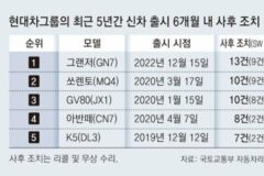 출시 5개월 그랜저 13번째 사후조치… 9번이 SW 관련