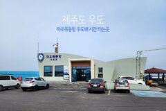 제주도 우도 하우목동항 우도배 시간 타는곳 자전거 및 차량운임 우도버스투어