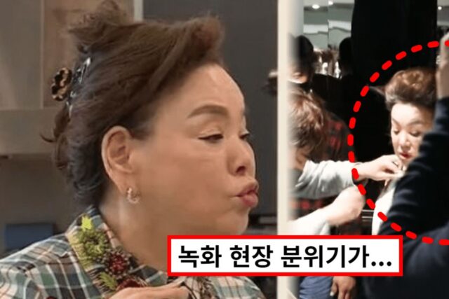 “그냥 가만히 좀 있어”… 김수미, 후배 갑질 논란에 충격적 미방영분 영상까지 퍼졌다