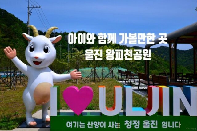 경북 아이와 함께 가볼만한 곳 울진왕피천공원