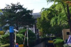 내달부터 서울 도심 공영주차장 4곳 월정기권 요금 30% 인하… 전기차는 50% 중복 감면