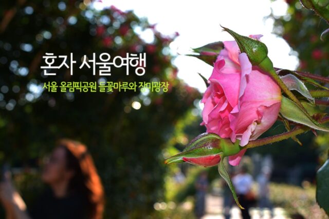 혼자 서울여행 서울 올림픽공원 들꽃마루와 장미광장