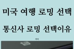 미국 여행 로밍 선택? 통신사 vs 현지 유심(eSIM), SKT T로밍 바로 요금제 선택 3가지 이유