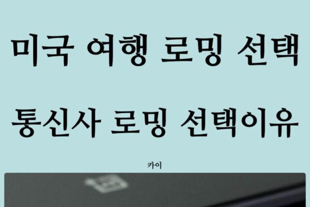 미국 여행 로밍 선택? 통신사 vs 현지 유심(eSIM), SKT T로밍 바로 요금제 선택 3가지 이유