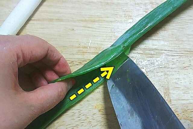 파채칼 없어도 가능!?고깃집처럼’대파’ 얇게 써는 꿀팁