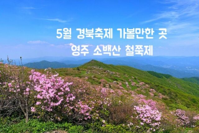 5월 경북 축제 가볼만한 곳 영주 소백산철쭉제 김다현 김희재 출연 안내