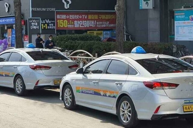 “진짜 그냥 통과?” 택시 음주 단속 여부, 경찰과 택시에 직접 물어봤습니다