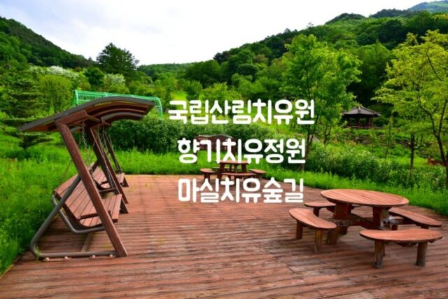 5월 영주 가볼만한 곳 국립산림치유원 마실치유숲길