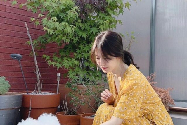 송혜교 노란색 원피스 청순함 치사량 최고치!