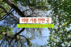 경기도 의왕 가볼 만한 곳 의왕 바라산 자연휴양림 의왕 백운호수 둘레길
