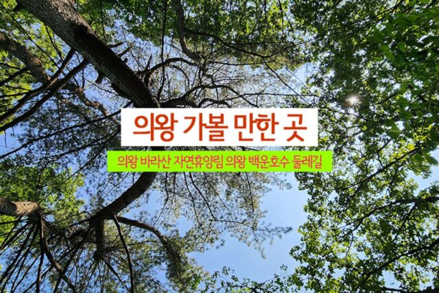경기도 의왕 가볼 만한 곳 의왕 바라산 자연휴양림 의왕 백운호수 둘레길