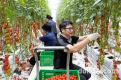 볼보코리아, 사회공헌활동 박차… 이윤모 대표 “더 나은 미래위해 실천할 것”