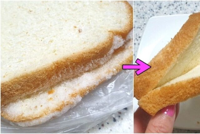 ‘냉동식빵’ 갓 사온듯 맛있게 먹을 수 있다고!?