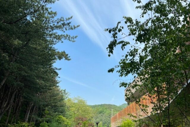 동탄갈만한곳 데이트로 좋은 카페인중리