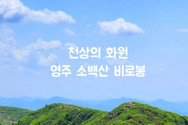 영주 가볼만한 곳 소백산철쭉제 등산 코스(feat.5월 축제 꽃구경)