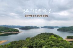 청주 가볼 만한 곳 충북여행 청주 청남대 봉황탑과 오각정
