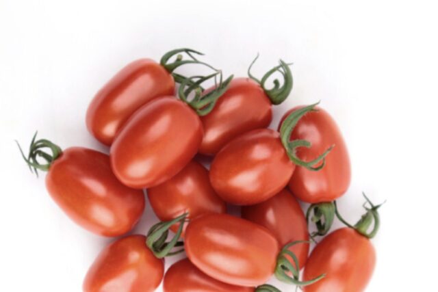 대추토마토 효능 7가지와 대추 방울토마토 부작용 정보 공유 해 볼게요