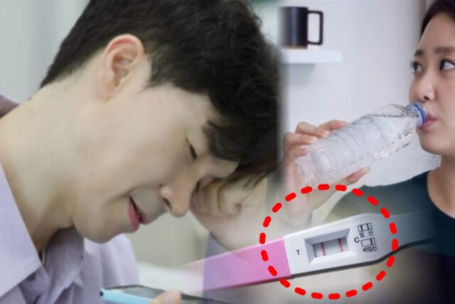 “아기 태어나면 어떡하지” 박수홍, 반려묘 ‘다홍이’ 아픈사실 알자마자 한 소름돋는 발언