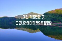 예천 가볼만한 곳 곤충나라 사과테마파크 오토캠핑장 백석저수지 in 경상도 여행