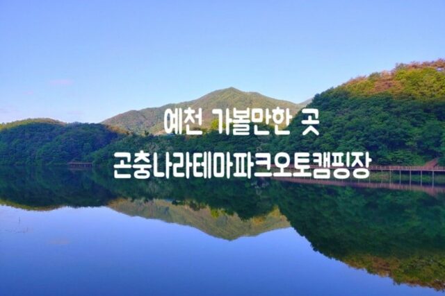 예천 가볼만한 곳 곤충나라 사과테마파크 오토캠핑장 백석저수지 in 경상도 여행