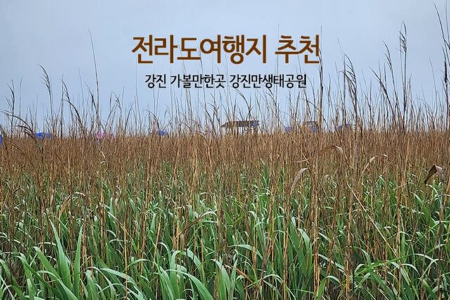 전라도여행지 추천 강진 가볼만한곳 강진만생태공원